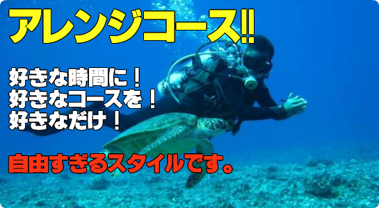 アレンジコース 好きな時間に！好きなコースを！好きなだけ！