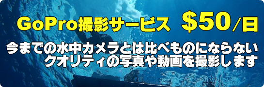 GoPro撮影サービス
