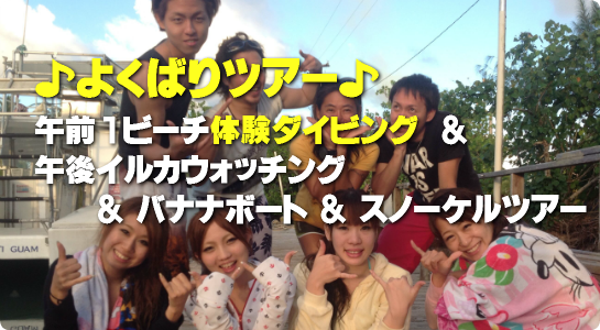♪よくばりツアー♪午前１ビーチ体験ダイビング＋午後イルカウォッチング＋バナナボート＋スノーケルツアー