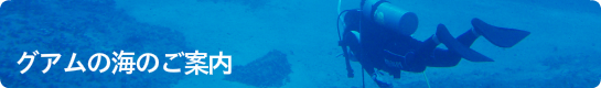 グアムの海のご案内