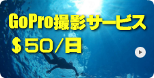 GoPro撮影サービス ＄５０/日